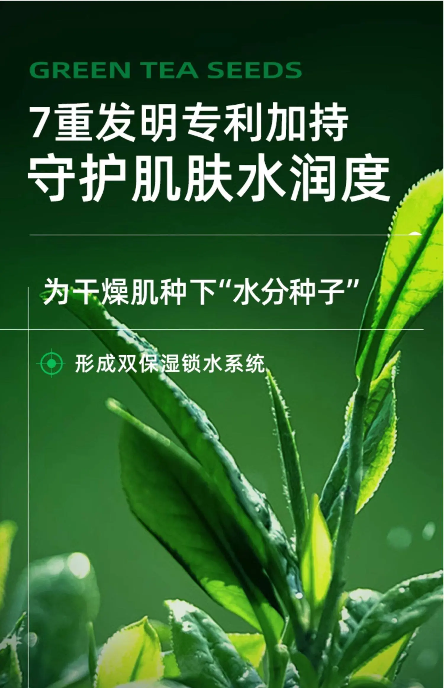 TingMei Green Tea Seed Skincare Set