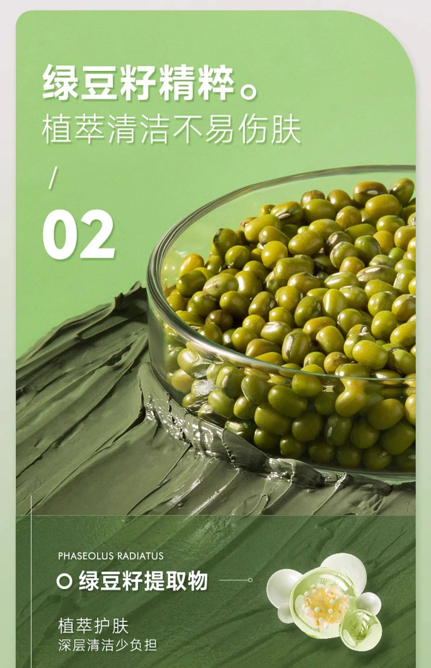 TingMei Mung Bean Clay Mask