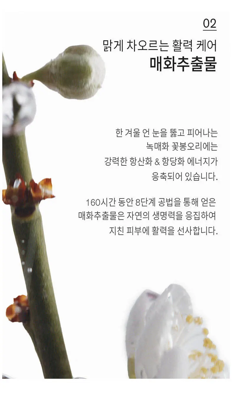 SULWHASOO