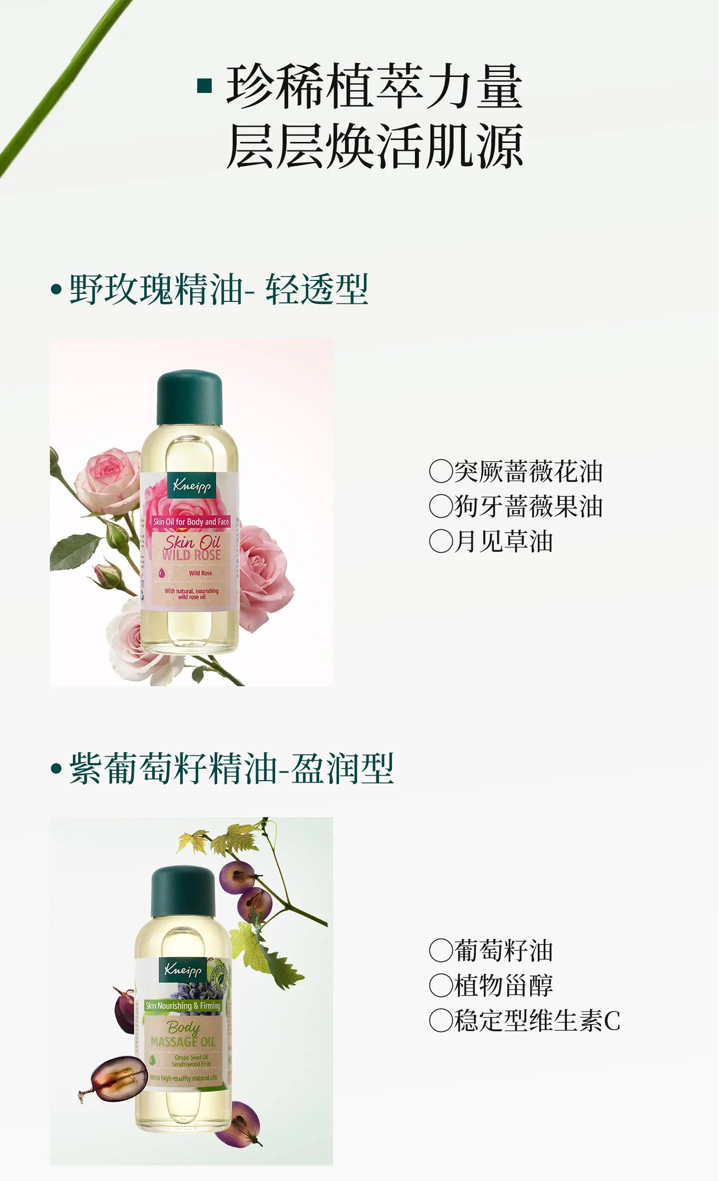 Kneipp
