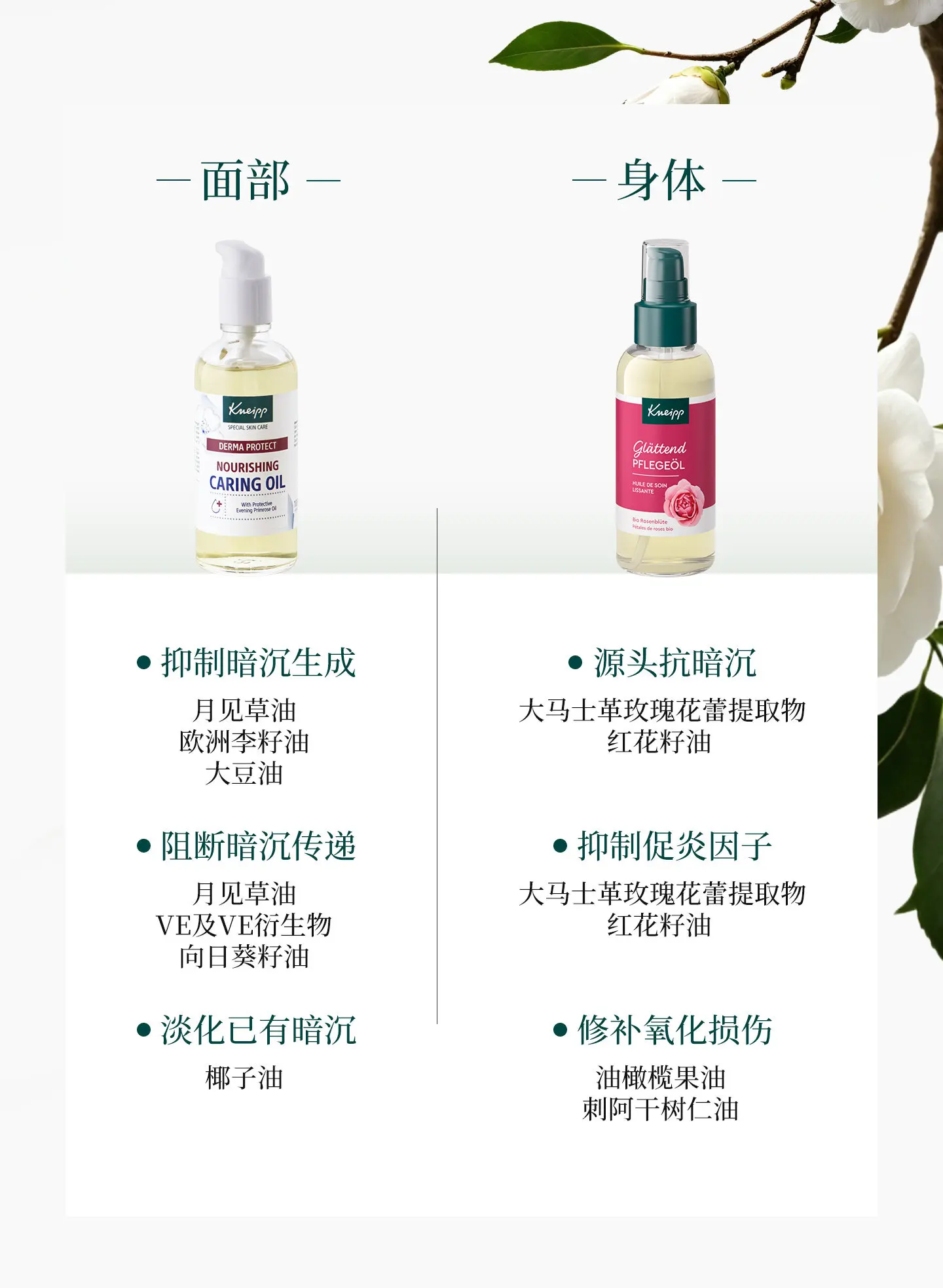 Kneipp