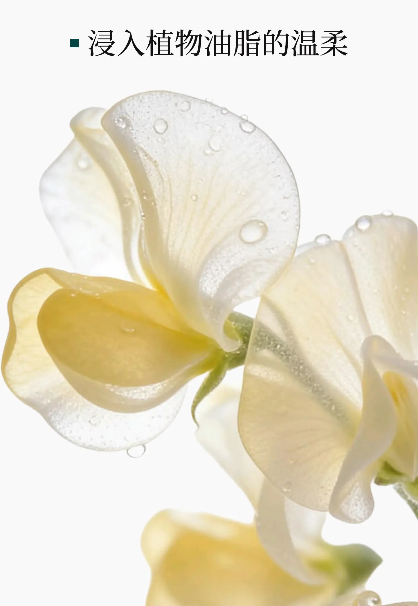 Kneipp